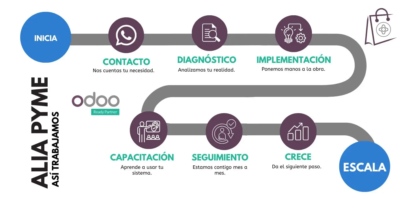 Proceso de acompañamiento ALIA PyME con diagnóstico, capacitación y seguimiento.